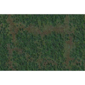 Dungeons & Dragons: Icons of the Realms - Forest Battle Mat