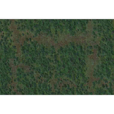 Dungeons & Dragons: Icons of the Realms - Forest Battle Mat