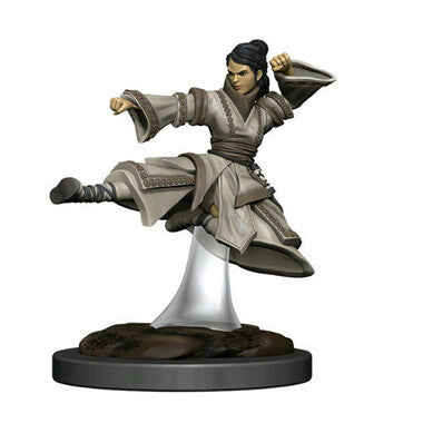 Dungeons & Dragons: Icons of the Realms Premium Miniatures - Female Human Monk (Wave 6)