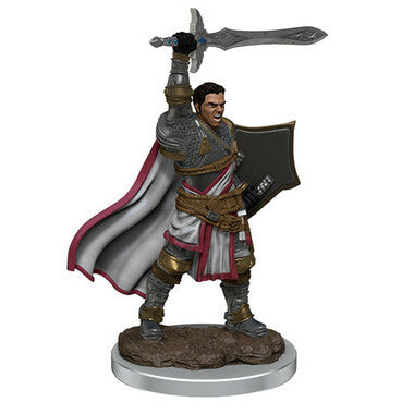 Dungeons & Dragons: Icons of the Realms Premium Miniatures - Male Human Paladin (Wave 7)