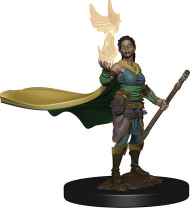Dungeons & Dragons: Icons of the Realms Premium Miniatures - Female Elf Druid