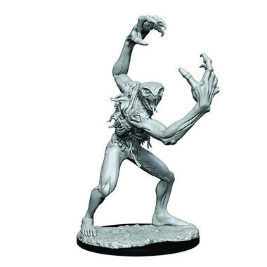 Critical Role Unpainted Miniatures: Aeorian Nullifier (Wave 1) (On Sale)