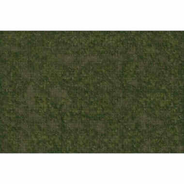 Dungeons & Dragons: Icons of the Realms - Grasslands Battle Mat