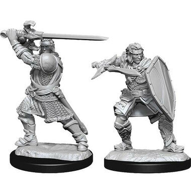 Dungeons & Dragons: Nolzur's Marvelous Unpainted Miniatures - Male Human Paladin (Wave 14)