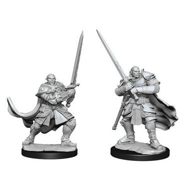 Dungeons & Dragons: Nolzur's Marvelous Unpainted Miniatures - Male Half-Orc Paladin (Wave 15)