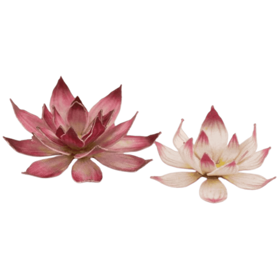 GamersGrass: Laser Plants - Lotus Flower