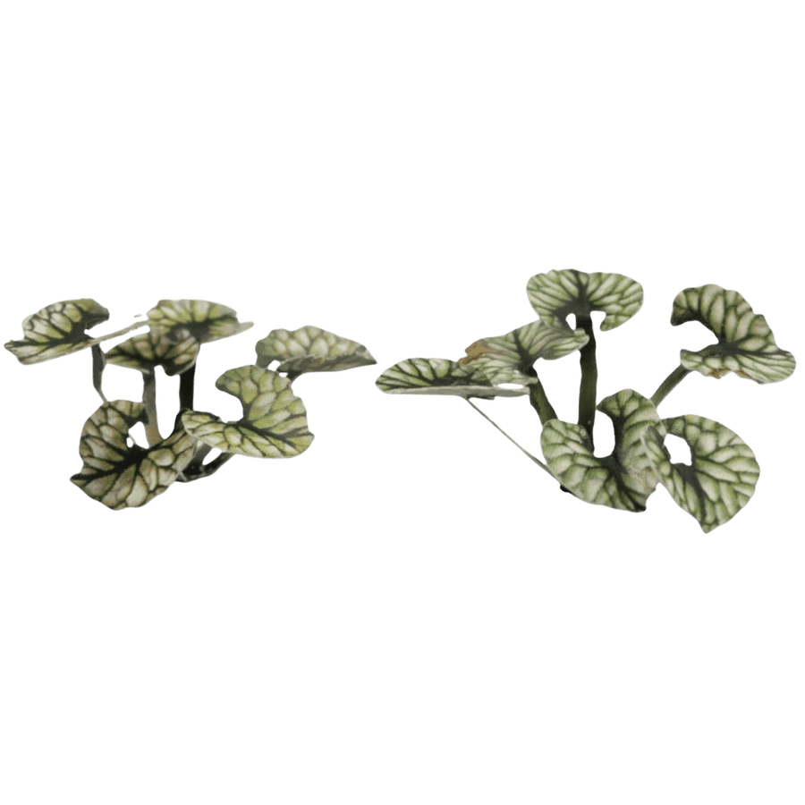 GamersGrass: Laser Plants - Bugloss