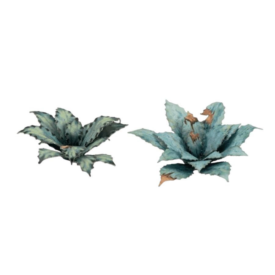GamersGrass: Laser Plants - Blue Agave