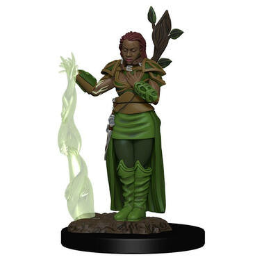 Dungeons & Dragons: Icons of the Realms Premium Miniatures - Female Human Druid