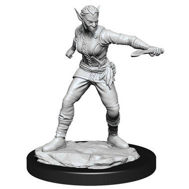 Dungeons & Dragons: Nolzur's Marvelous Unpainted Miniatures - Female Shifter Rogue Female (Wave 13)