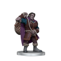 Critical Role Miniatures: Factions of Wildemount - Kryn Dynasty & Xhorhas Box Set