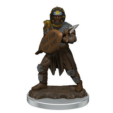 Dungeons & Dragons: Icons of the Realms Premium Miniatures - Male Human Fighter (Wave 7)