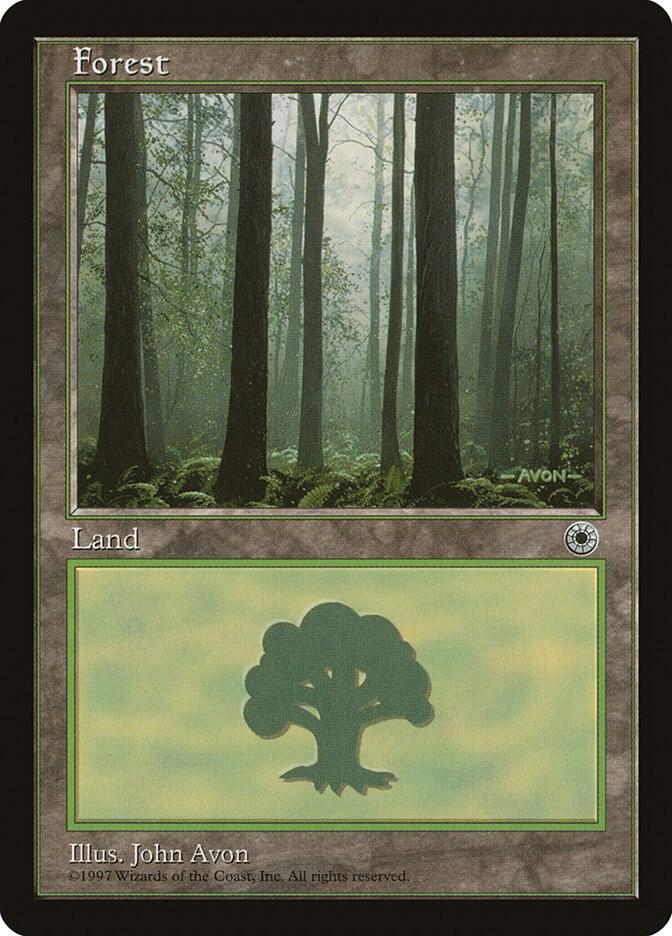 Forest (Ferns on Ground)