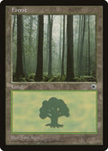 Forest (Ferns on Ground)