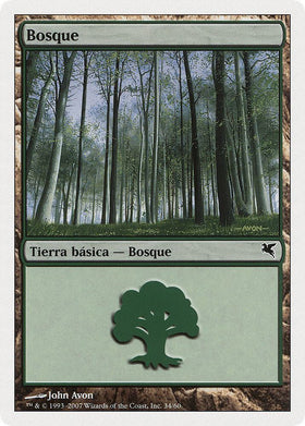 Forest (Spanish) - "Bosque" (J34)