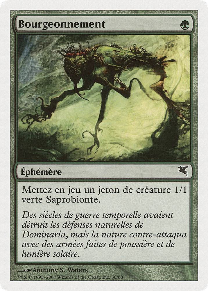 Sprout (French) - "Bourgeonnement" (J30)