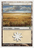 Plains (Spanish) - "Llanura" (C33)