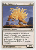 Waxmane Baku (Italian) - "Baku Crinecera" (C31)