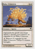 Waxmane Baku (Italian) - "Baku Crinecera" (C31)