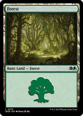 Forest (0275)