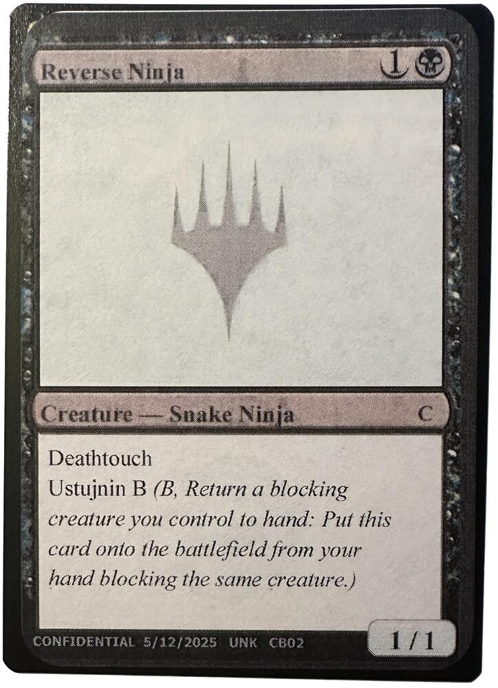 Reverse Ninja