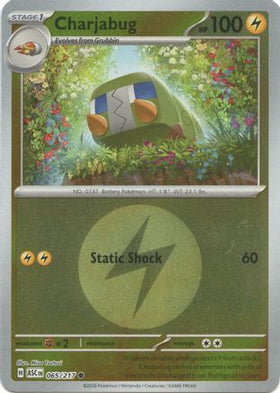 Charjabug (Energy Symbol Pattern) 65 - ME Ascended Heroes Reverse Holofoil