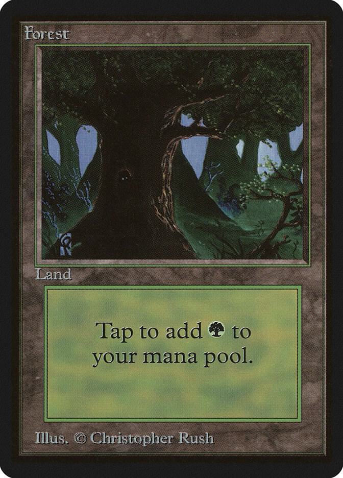 Forest (C)