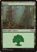 Forest (028) (EVG)