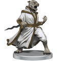 Dungeons & Dragons Miniatures: Critical Role - Monsters of Exandria (Set 1)