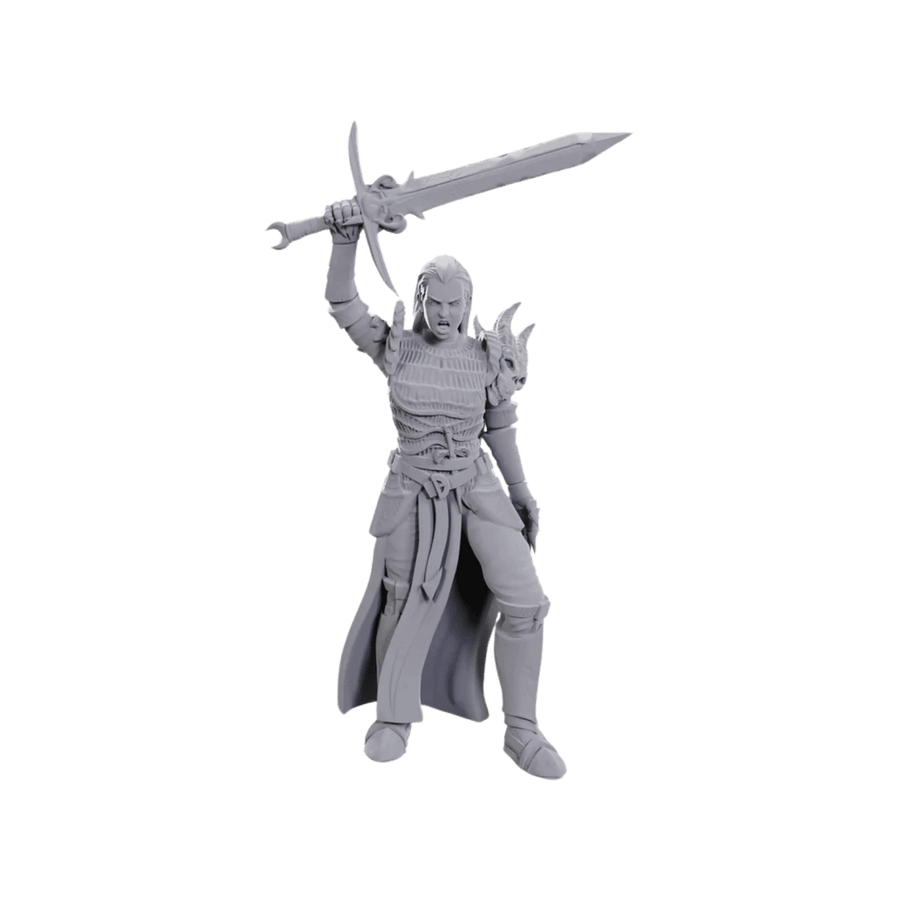 Dungeons & Dragons: Nolzur's Marvelous Unpainted Miniatures - Blackguard