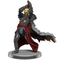 Dungeons & Dragons Miniatures: Icons of the Realms - Githyanki Warband