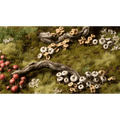 GamersGrass: Basing Bits - Forest Mushrooms