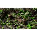 GamersGrass: Basing Bits - Spaceship Corridor