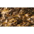 GamersGrass: Basing Box - Golden Autumn Glad