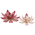 GamersGrass: Laser Plants - Lotus Flower