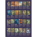 The Map Library: Fantasy Battle Maps
