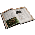 Warhammer Age of Sigmar RPG: Soulbound - Champions of Chaos (Collector's Edition) (PREORDER)