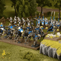Kings of War 4E: Alanis Sallustis Company Box