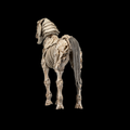 Mythic Legions: Skeleton Steed Legion Builder - Action Figure (PREORDER)