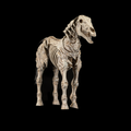 Mythic Legions: Skeleton Steed Legion Builder - Action Figure (PREORDER)