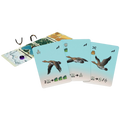 Flockers: Birds of a Feather Expansion (PREORDER)