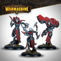 Warmachine: Dusk Fane of Nyrro - Death’s Whisper Army Box