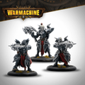 Warmachine: Dusk Fane of Nyrro - Death’s Whisper Army Box