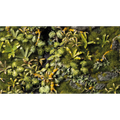 Gamers Grass: Basing Box - Jungle Floor (PREORDER)