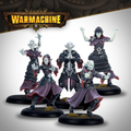 Warmachine: Dusk Fane of Nyrro - Court of Shadows Army Box