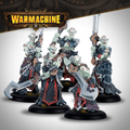 Warmachine: Dusk Fane of Nyrro - Court of Shadows Army Box