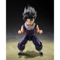 Dragon Ball Z: Son Gohan (Z-Fighters Group Base Ver. A) - TAMASHII NATIONS S.H.Figuarts Action Figure (PREORDER)