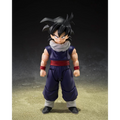 Dragon Ball Z: Son Gohan (Z-Fighters Group Base Ver. A) - TAMASHII NATIONS S.H.Figuarts Action Figure (PREORDER)