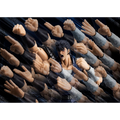 Fist of the North Star: Kenshiro - TAMASHII NATIONS S.H.Figuarts Action Figure (PREORDER)