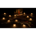 Werewolf in the Dark: Wolf Pack (PREORDER)